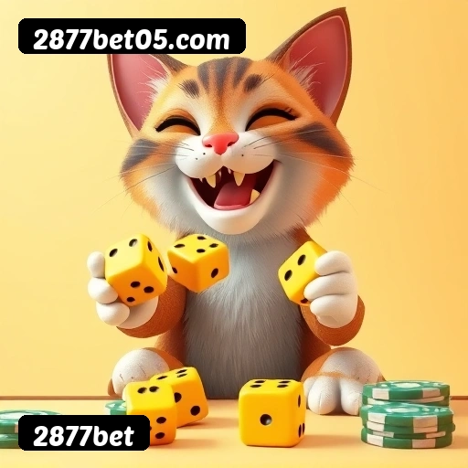 Termos e condições